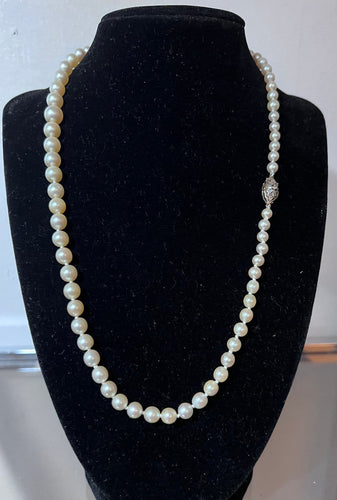 d9039576-8190-4c0a-64ad-5b395bcdbb00