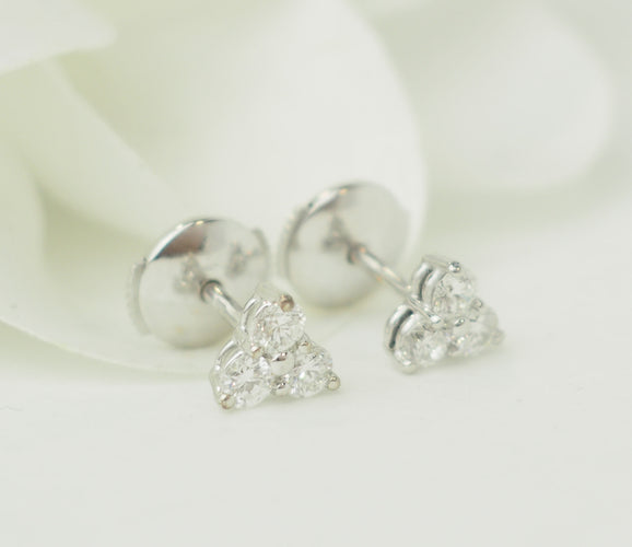https://cdn.shopify.com/s/files/1/0750/3799/9372/files/P1016933.jpg?v=1774541083
