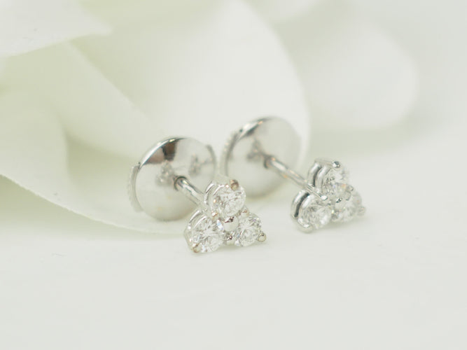 https://cdn.shopify.com/s/files/1/0750/3799/9372/files/P1016933.jpg?v=1774541083