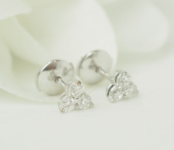 https://cdn.shopify.com/s/files/1/0750/3799/9372/files/P1016935.jpg?v=1774541081