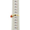 https://api-ledial.emberware.it/app/uploads/2025/10/37315-anello-oro-corallo-diamanti_39.jpg