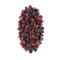 https://api-ledial.emberware.it/app/uploads/2024/05/34063-anello-oro-zaffiro-rubino-smeraldo-5.jpg