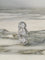 0d94abf1-c475-4217-9eed-03daafcc4f00