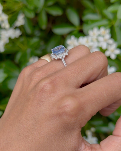 0f49c6eb-b4ed-4a47-b7e6-3c7d5a031200