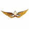 Broche Broche ancienne ailes en or jaune 18K, opale et diamants 58 Facettes Ailes