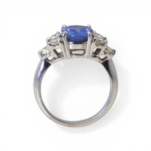 https://cdn.shopify.com/s/files/1/0605/8865/4788/files/5D493184-D879-4C24-A857-AED4E194618D.jpg?v=1775769735