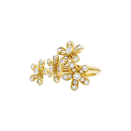 ljmwmwyr5lyamihhfiie