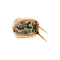 dc628fc4-8538-4aff-7328-cc9e28cb7500