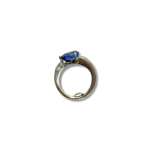 https://cdn.shopify.com/s/files/1/0725/0883/4139/files/IMG-2667.jpg?v=1757068752