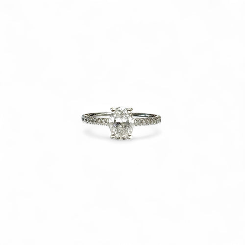 https://cdn.shopify.com/s/files/1/0725/0883/4139/files/FullSizeRender_c0ca439c-1bdf-4f1f-b7b2-0962e7112b3c.jpg?v=1749651841