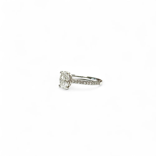 https://cdn.shopify.com/s/files/1/0725/0883/4139/files/FullSizeRender_dff41084-27c5-4263-8735-22eb905c9170.jpg?v=1751473974