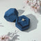 https://cdn.shopify.com/s/files/1/0725/0883/4139/files/IMG-0513.jpg?v=1751473974