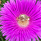 c4022435-f560-4edb-d6b6-29a30a24d100