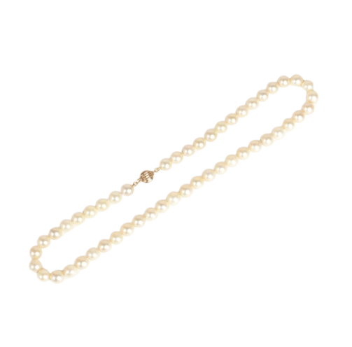 0a80e9d8-b991-4294-9f84-4255f4f6b500