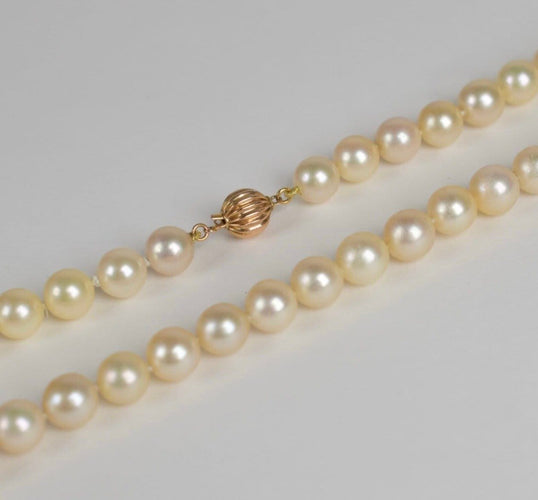 7a9511c6-b847-43be-60e6-1c37ddb42800