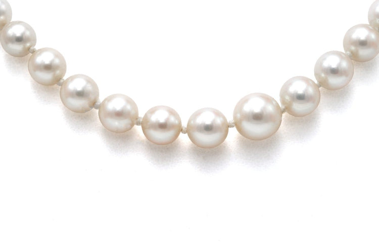 95c6bb09-9796-488e-61ac-a97344469d00