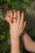 5419002CN12.jpg