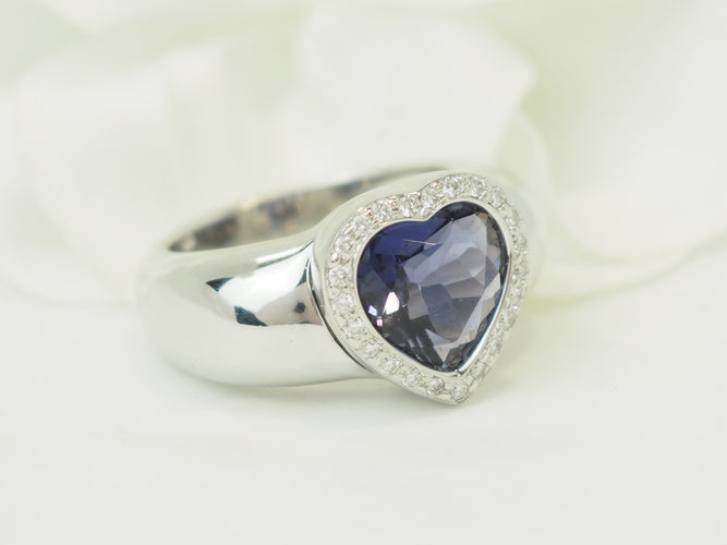 https://cdn.shopify.com/s/files/1/0750/3799/9372/files/P1018272.jpg?v=1776953641