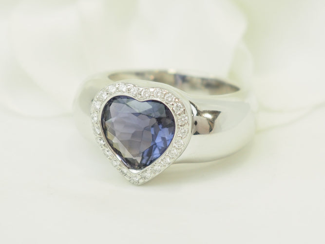 https://cdn.shopify.com/s/files/1/0750/3799/9372/files/P1018275.jpg?v=1776953641