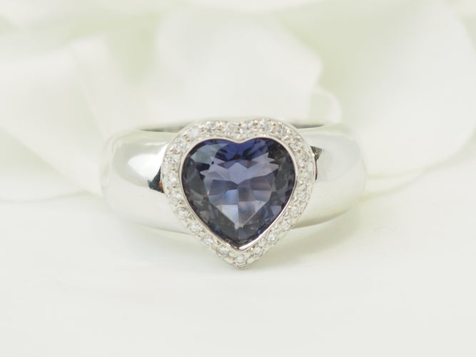 https://cdn.shopify.com/s/files/1/0750/3799/9372/files/P1018279.jpg?v=1776953641