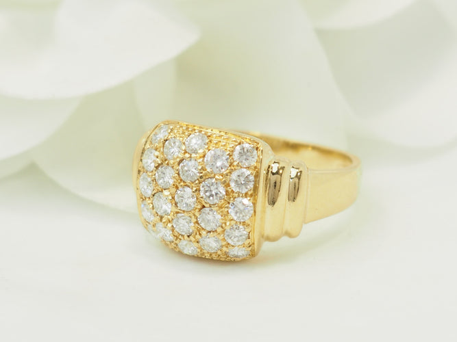 https://cdn.shopify.com/s/files/1/0750/3799/9372/files/P1018192.jpg?v=1777039534