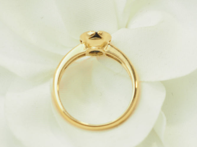 https://cdn.shopify.com/s/files/1/0750/3799/9372/files/P1018256.jpg?v=1777036301