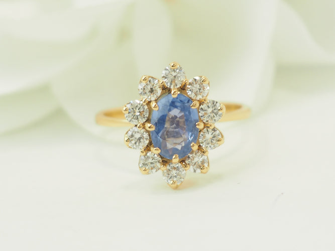 https://cdn.shopify.com/s/files/1/0750/3799/9372/files/P1018311.jpg?v=1777374448