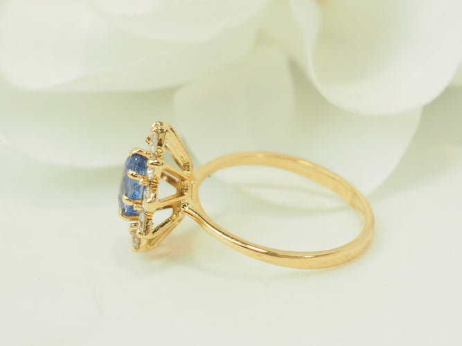https://cdn.shopify.com/s/files/1/0750/3799/9372/files/P1018308.jpg?v=1777374447