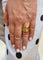 IMG_1569.jpeg