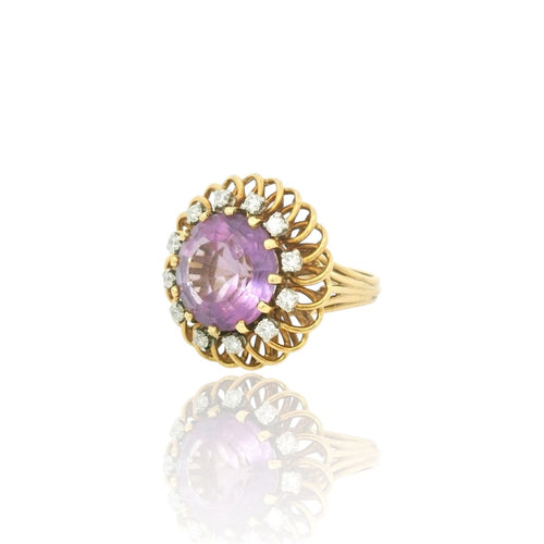 https://cdn.shopify.com/s/files/1/0473/3799/6454/files/Photoroom_20260225_154554.jpg?v=1772031669