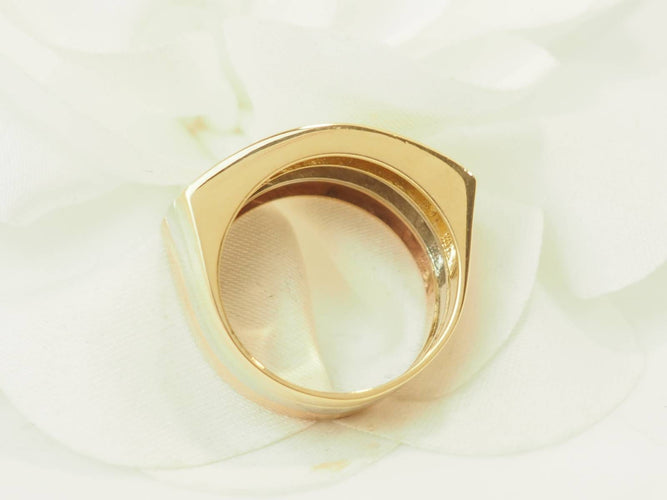 https://cdn.shopify.com/s/files/1/0750/3799/9372/files/P1018453JPG_69fb4328ae5649.06691015.jpg?v=1778166748