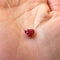 Collier Heart to Have - Collier en or 18 carats et rubis 58 Facettes GPD1334YG