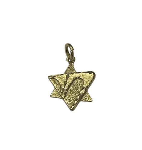 Pendentif Pendentif étoile de David en or jaune 58 Facettes LP848/3