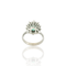 https://cdn.shopify.com/s/files/1/0473/3799/6454/files/Photoroom_20250730_083732.png?v=1753861147