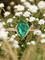 fin_01 (11).png