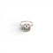 hd_item_4948826_9fa01dadba.jpg