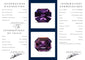 Inner-Page-2.webp