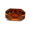 1000017211.webp