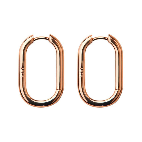 Boucles d'oreilles Jullie - Grandes boucles d'oreilles ovales 58 Facettes SER1016RG