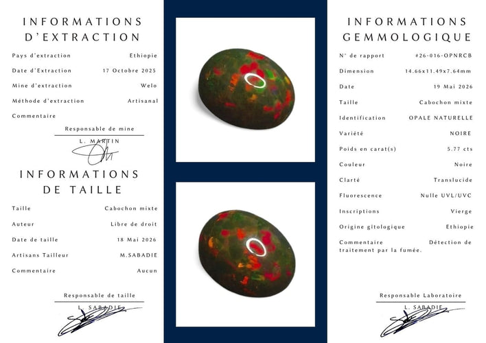 Inner Page.jpg