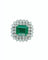 5.webp