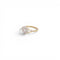 large_item_4948824_1cb1364692.jpg