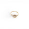 large_item_4948824_376ac2f927.jpg