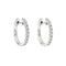 020ct12cmhoop0.jpg
