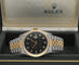https://cdn.shopify.com/s/files/1/0013/2762/8363/files/ROL.DJ1.1422_Box_1-2kopieren.3.jpg?v=1779809382