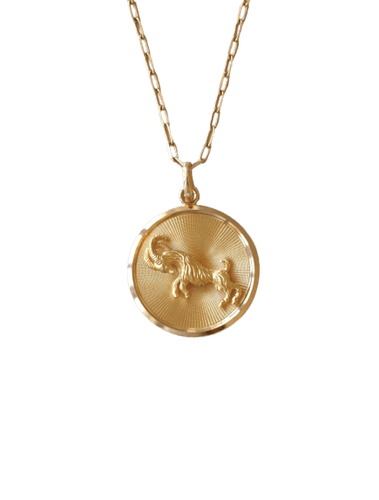 Pendentif Pendentif médaille astrologique Capricorne en or jaune 58 Facettes