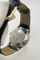Omega_Seamaster_acier.png