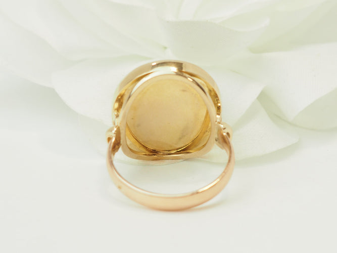 https://cdn.shopify.com/s/files/1/0750/3799/9372/files/P1019281.jpg?v=1780141525