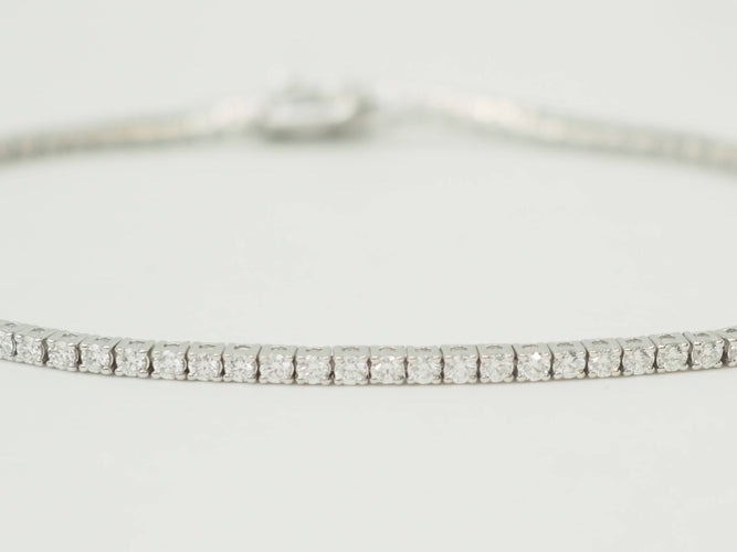 https://cdn.shopify.com/s/files/1/0750/3799/9372/files/P1019299.jpg?v=1780394270