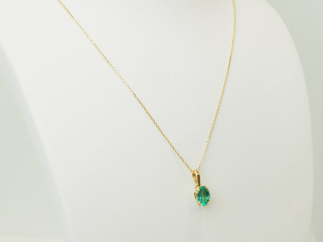 https://cdn.shopify.com/s/files/1/0750/3799/9372/files/P1019136.jpg?v=1780405248